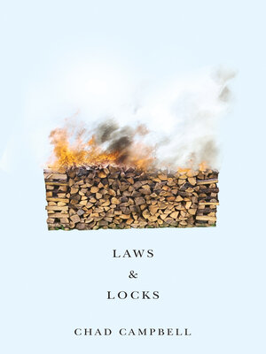 cover image of Laws & Locks